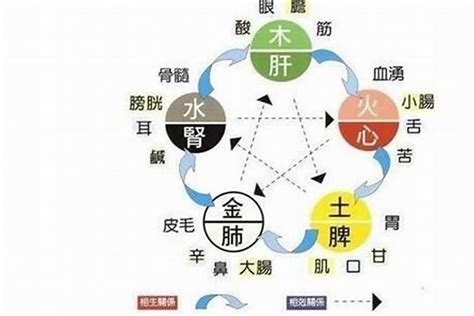 五行补水|生辰八字中五行缺水的人有什么补救办法？